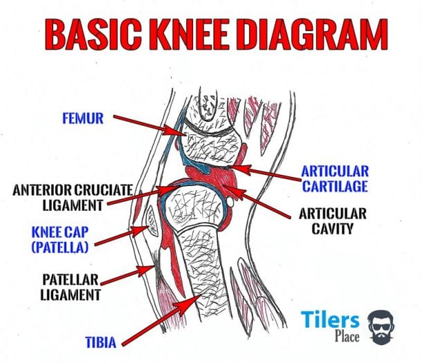 Why Knee Pads For Work Are Essential The Function Knees