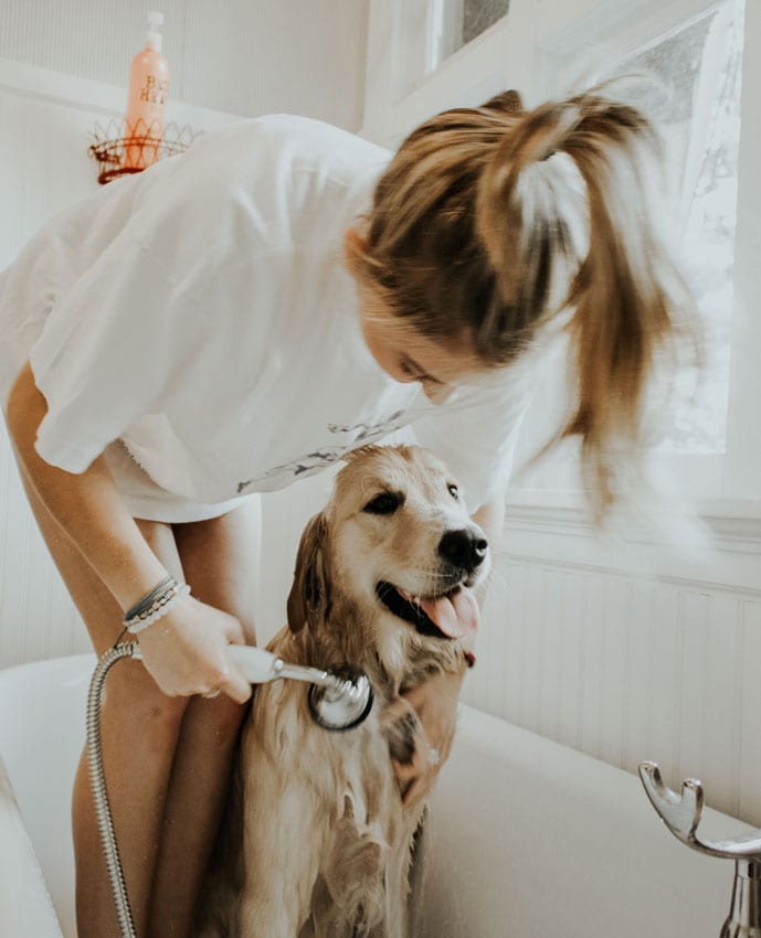 Replace tile grout to remove pet odors in your home